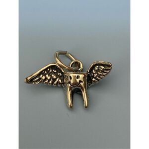 Tooth Fairy Sterling Silver Jewelry Charm #fairy #dentist